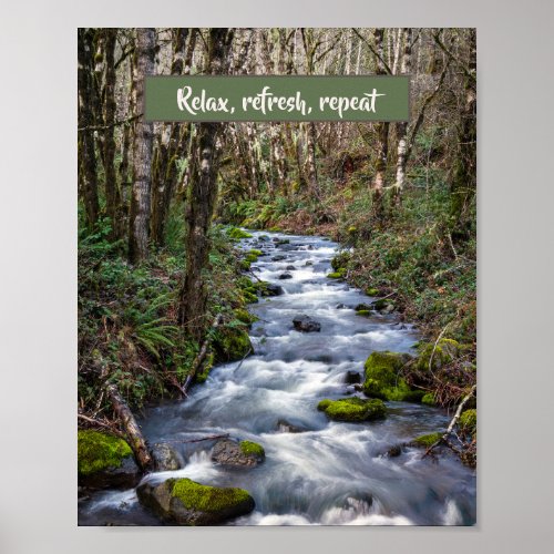 Oregon Alder Trees Mountain Stream Photo Poster