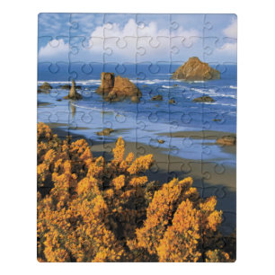 Oregon Beach View In Bandon Jigsaw Puzzle