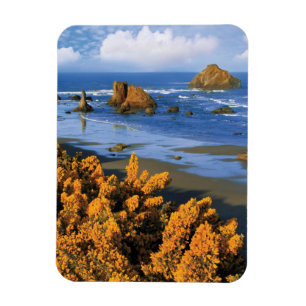 Oregon Beach View In Bandon Magnet