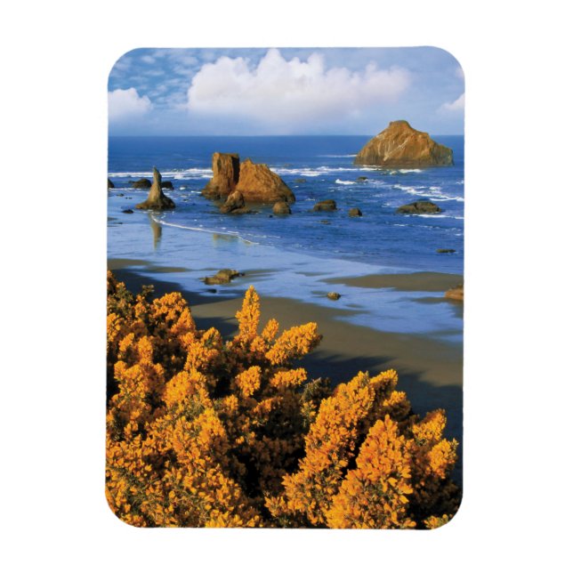 Oregon Beach View In Bandon Magnet (Vertical)