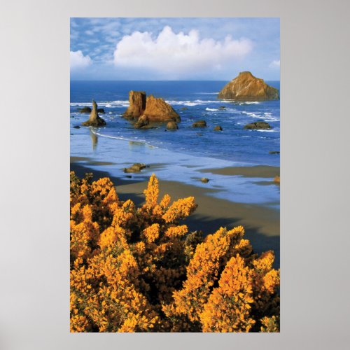 Oregon Beach View In Bandon Poster