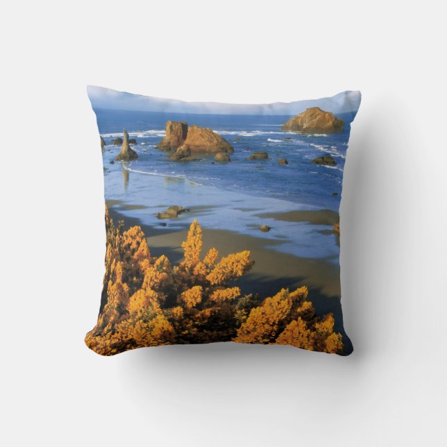 Oregon Beach View In Bandon Throw Pillow (Front)