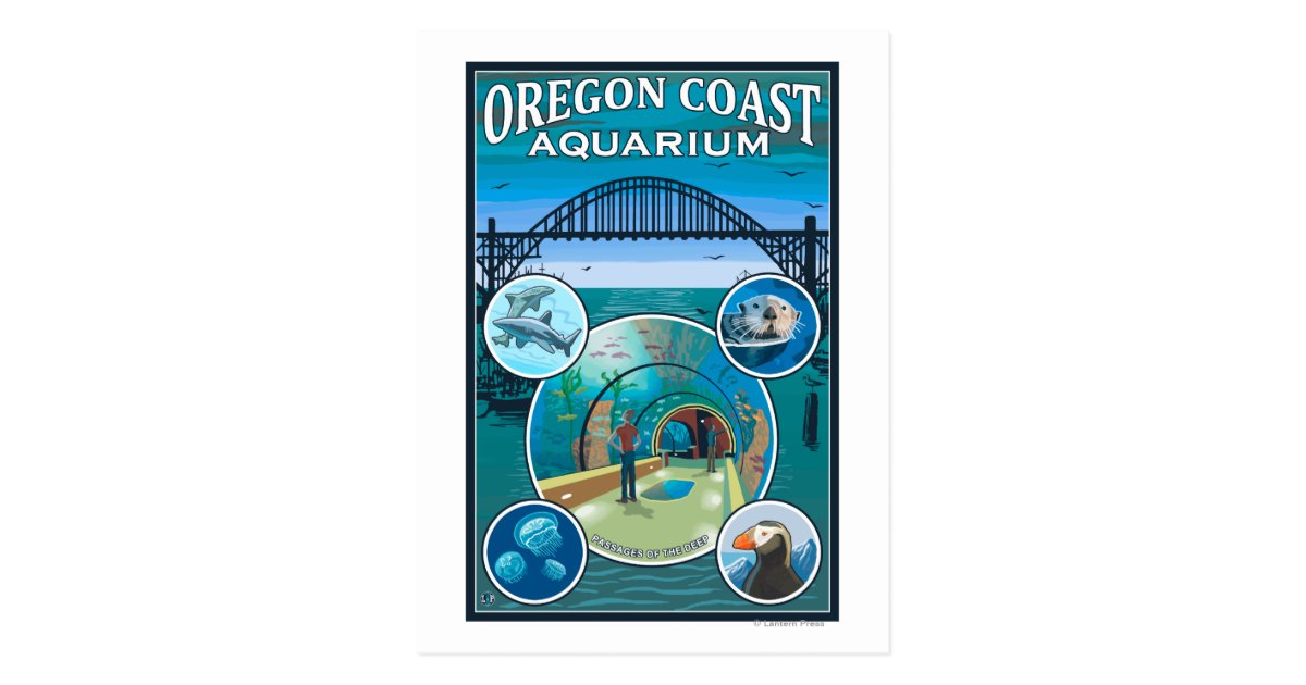 Oregon Coast Aquarium Postcard