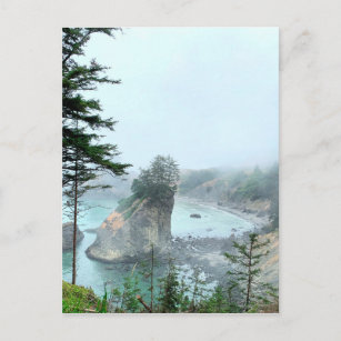 Oregon Coast Boardman Foggy Scenic Overlook Postcard