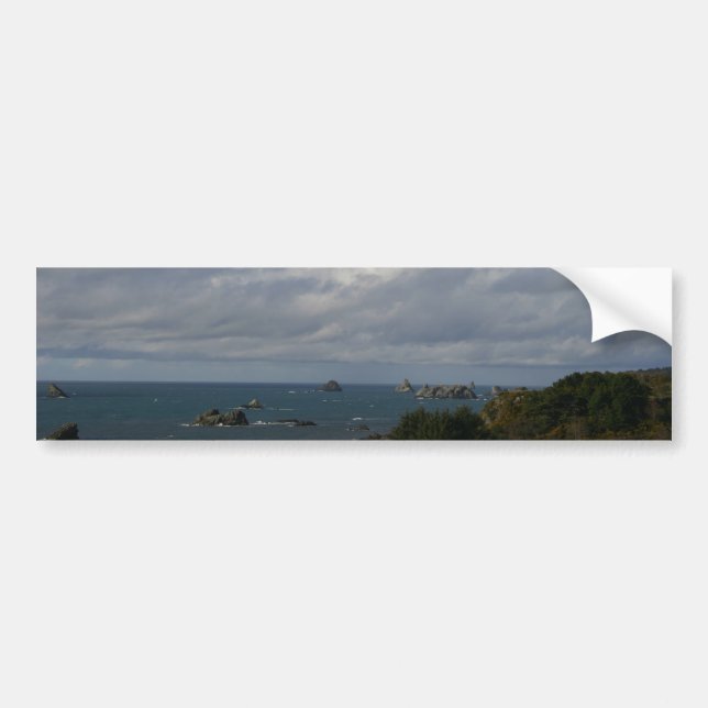 Oregon Coast Bumper Sticker (Front)