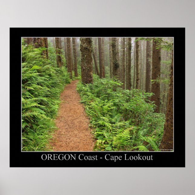 Oregon Coast - Cape Lookout Poster (Front)