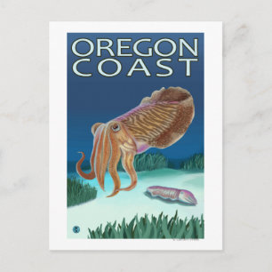 Oregon Coast Cuttlefish Postcard