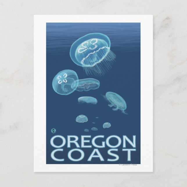 Oregon Coast Jellyfish Postcard (Front)
