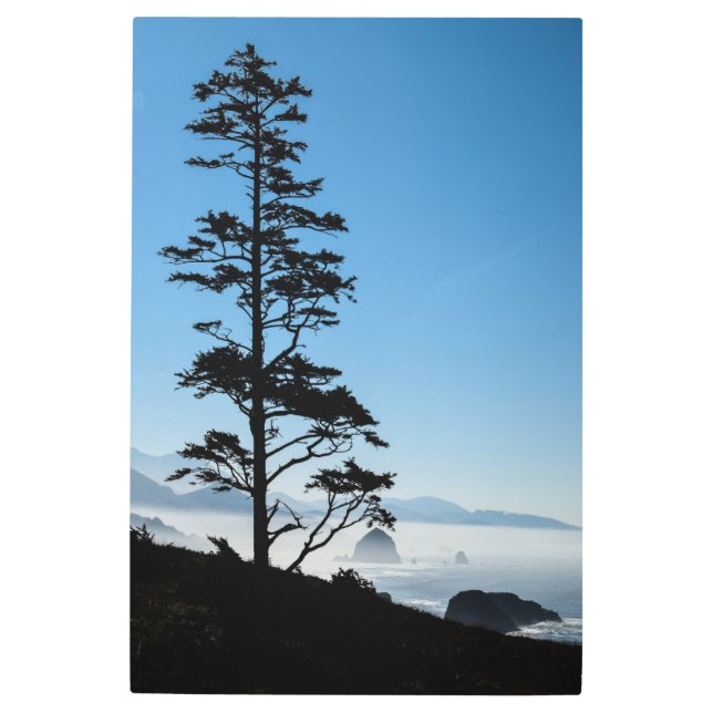 Oregon Coast Metal Print (Front)