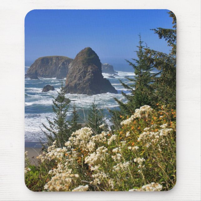 Oregon Coast Mouse Pad (Front)