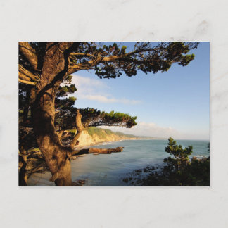 Oregon Coast Postcard