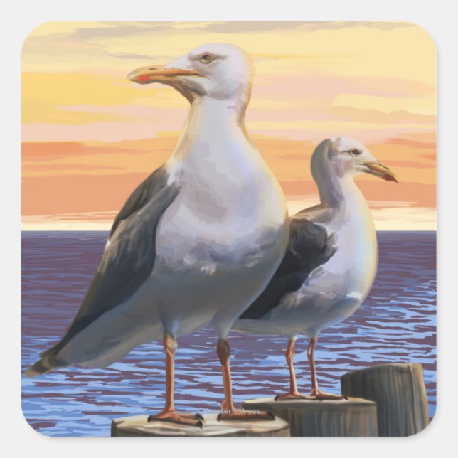 Oregon Coast Sea Gulls Square Sticker (Front)