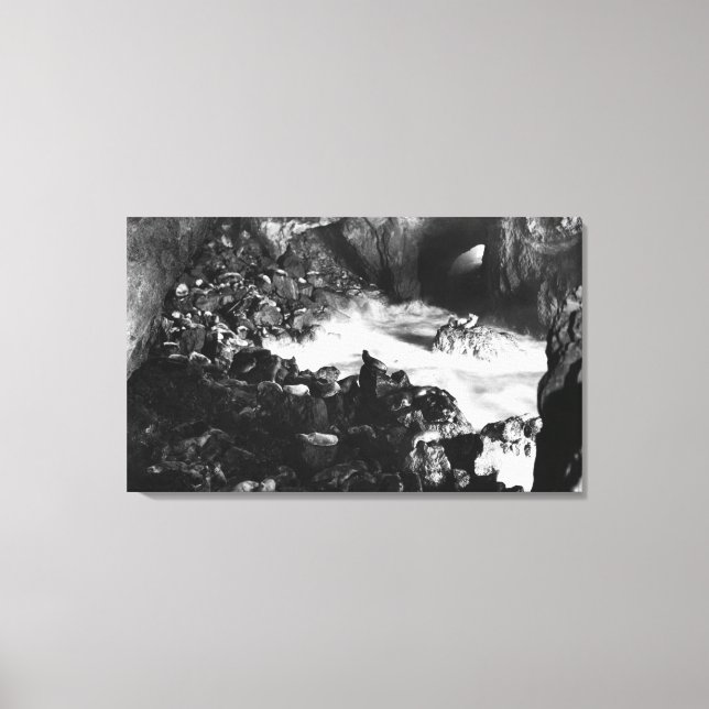 Oregon Coast Sea Lion Caves Interior View Canvas Print (Front)