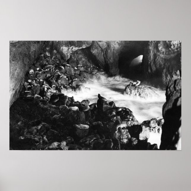 Oregon Coast Sea Lion Caves Interior View Poster (Front)