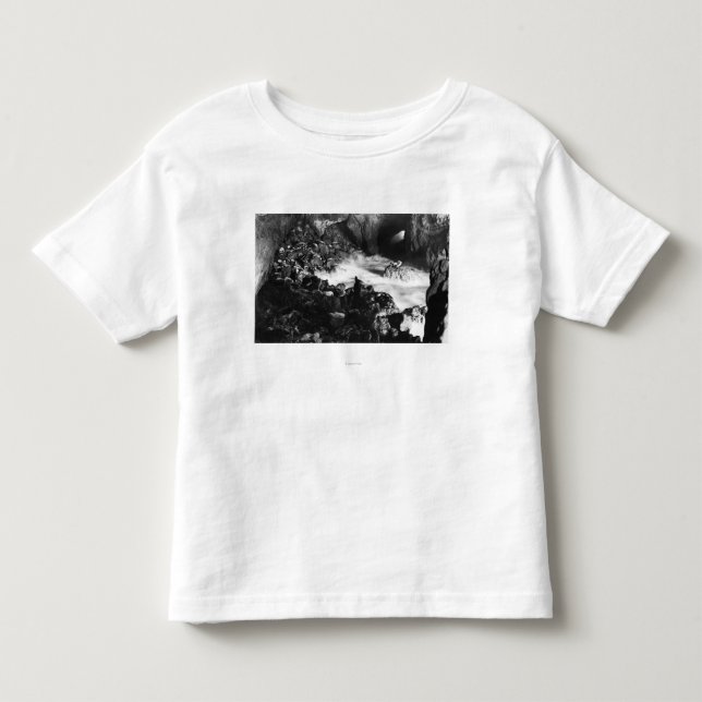 Oregon Coast Sea Lion Caves Interior View Toddler T-shirt (Front)