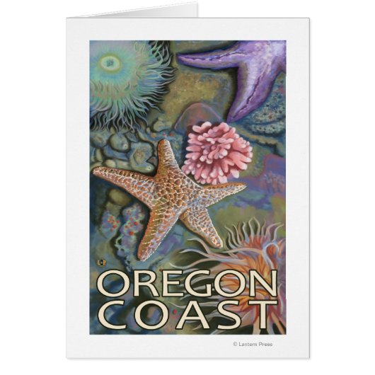 Oregon Coast Tidepool Cards (Front)