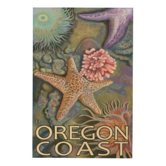 Oregon Coast Tidepool Wood Wall Decor