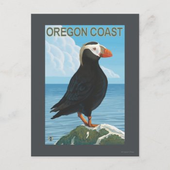 Oregon Coast Tufted Puffin Postcard by LanternPress at Zazzle