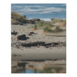 Oregon Driftwood Beach Faux Wrapped Canvas Print