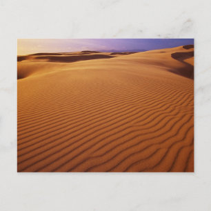 Oregon Dunes National Recreation Area, Oregon at Postcard