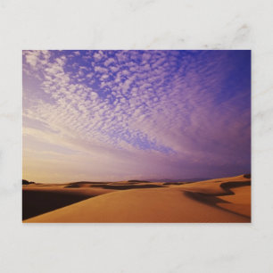 Oregon Dunes National Recreation Area, Oregon Postcard