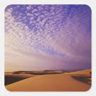 Oregon Dunes National Recreation Area, Oregon Square Sticker