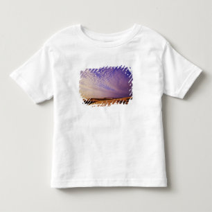 Oregon Dunes National Recreation Area, Oregon Toddler T-shirt