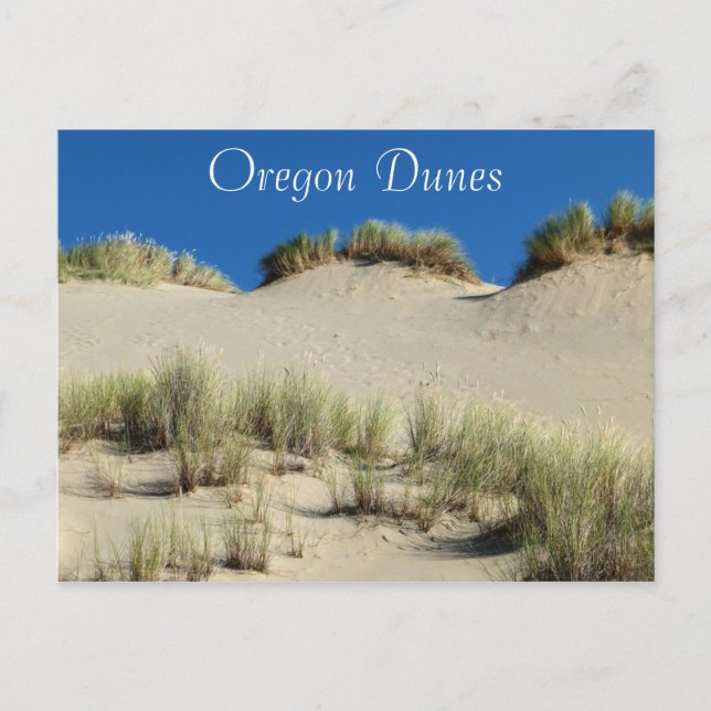 Oregon Dunes National Recreation Area Postcard (Front)