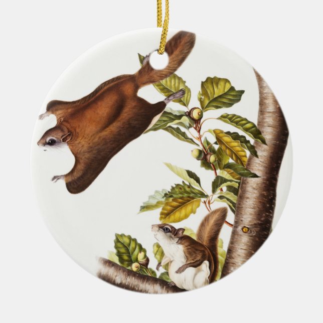 Oregon Flying Squirrel (Pteromys Origonensis)  Ceramic Ornament (Front)