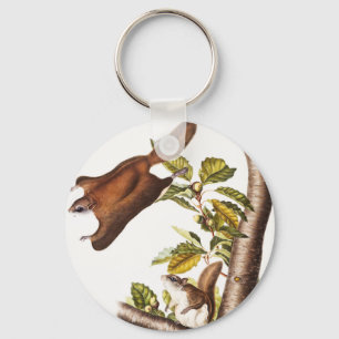 Oregon Flying Squirrel (Pteromys Origonensis)  Keychain