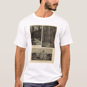Oregon forest giant pines plaza, Salem, Oregon T-Shirt
