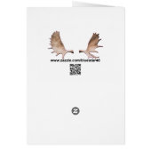 Oregon Grape Cards (Back)