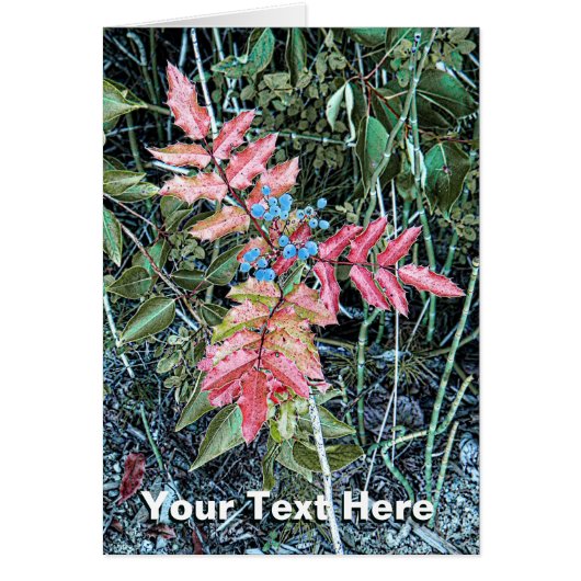 Oregon Grape Cards (Front)