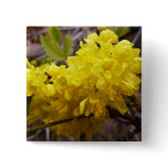 Oregon Grape Flowers Yellow Wildflowers Button