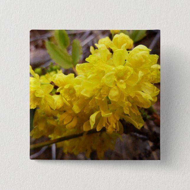 Oregon Grape Flowers Yellow Wildflowers Button (Front)