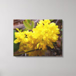 Oregon Grape Flowers Yellow Wildflowers Canvas Print