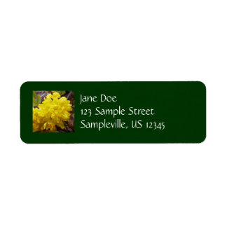 Oregon Grape Flowers Yellow Wildflowers Label