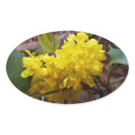 Oregon Grape Flowers Yellow Wildflowers Oval Sticker