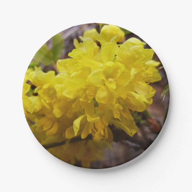 Oregon Grape Flowers Yellow Wildflowers Paper Plates (Front)