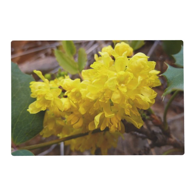 Oregon Grape Flowers Yellow Wildflowers Placemat (Front)