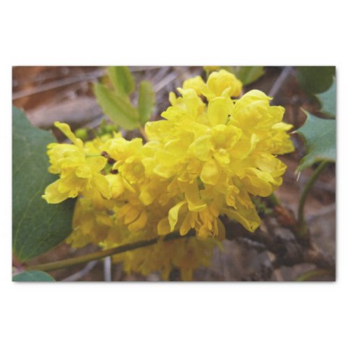 Oregon Grape Flowers Yellow Wildflowers Tissue Paper