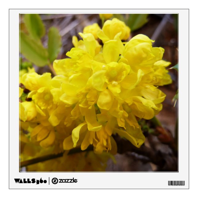 Oregon Grape Flowers Yellow Wildflowers Wall Sticker (Front)