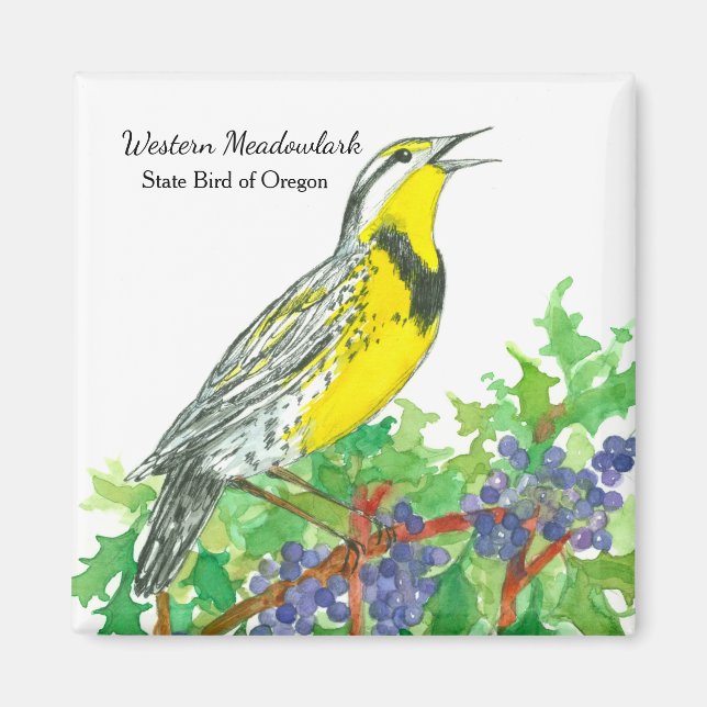 Oregon Grape Meadowlark Botanical Watercolor Magnet (Front)