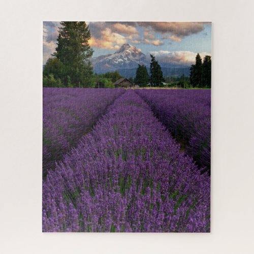 Oregon Lavender Field Overlooking Mount Hood Jigsaw Puzzle