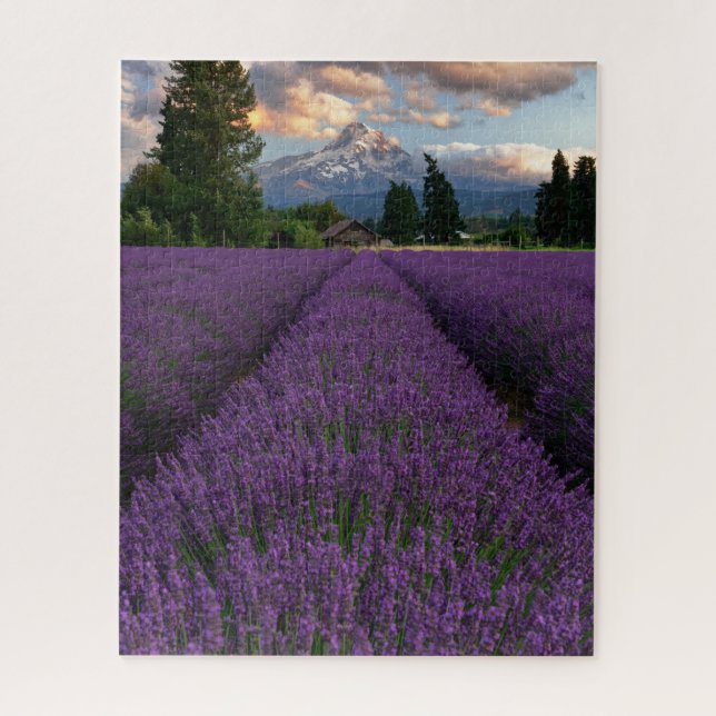 Oregon Lavender Field Overlooking Mount Hood Jigsaw Puzzle (Vertical)