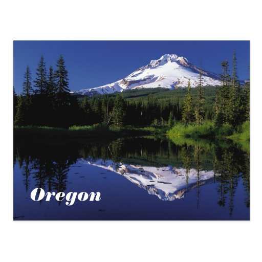 Oregon postcard | Zazzle