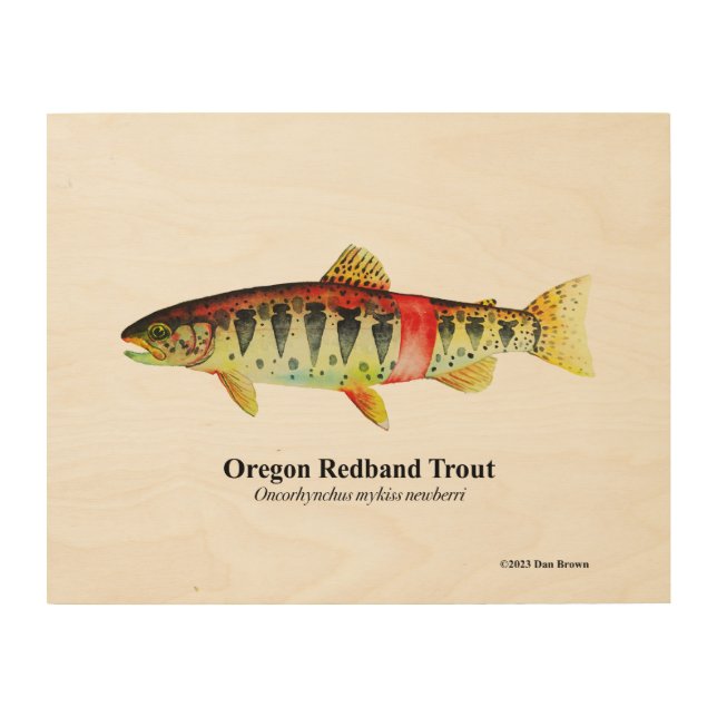 Oregon Redband Trout;  Wood Wall Art (Front)
