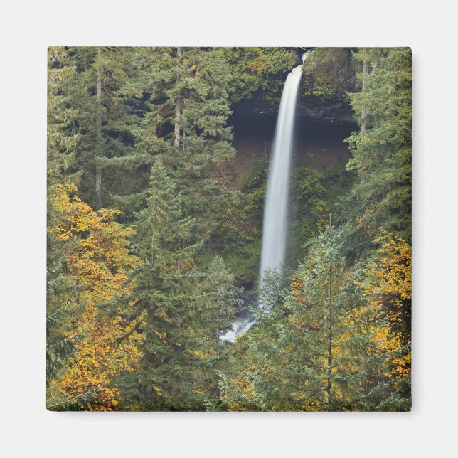 Oregon, Silver Falls State Park, North Falls Magnet (Front)