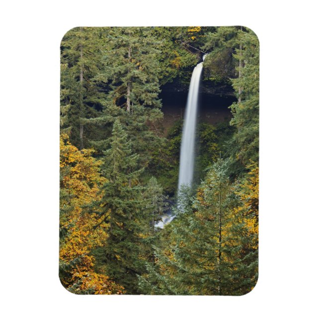 Oregon, Silver Falls State Park, North Falls Magnet (Vertical)