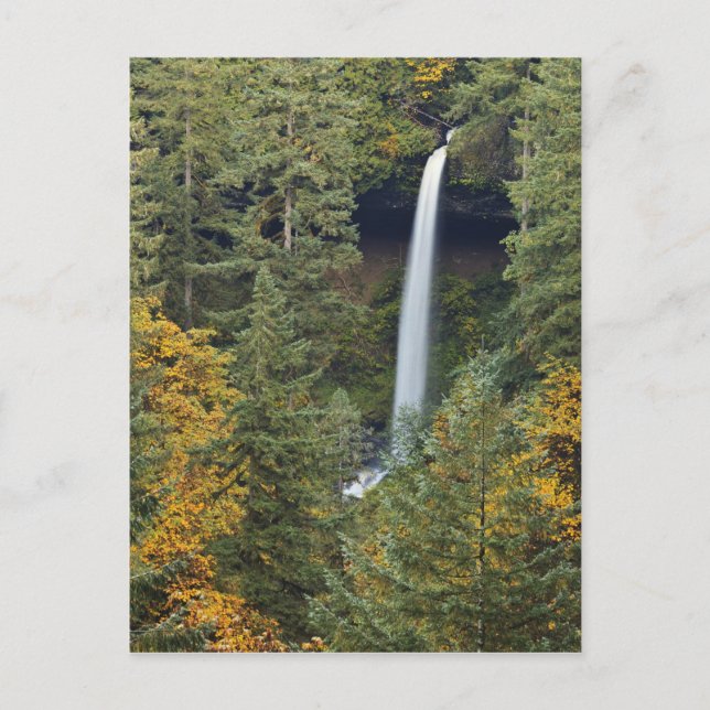 Oregon, Silver Falls State Park, North Falls Postcard (Front)